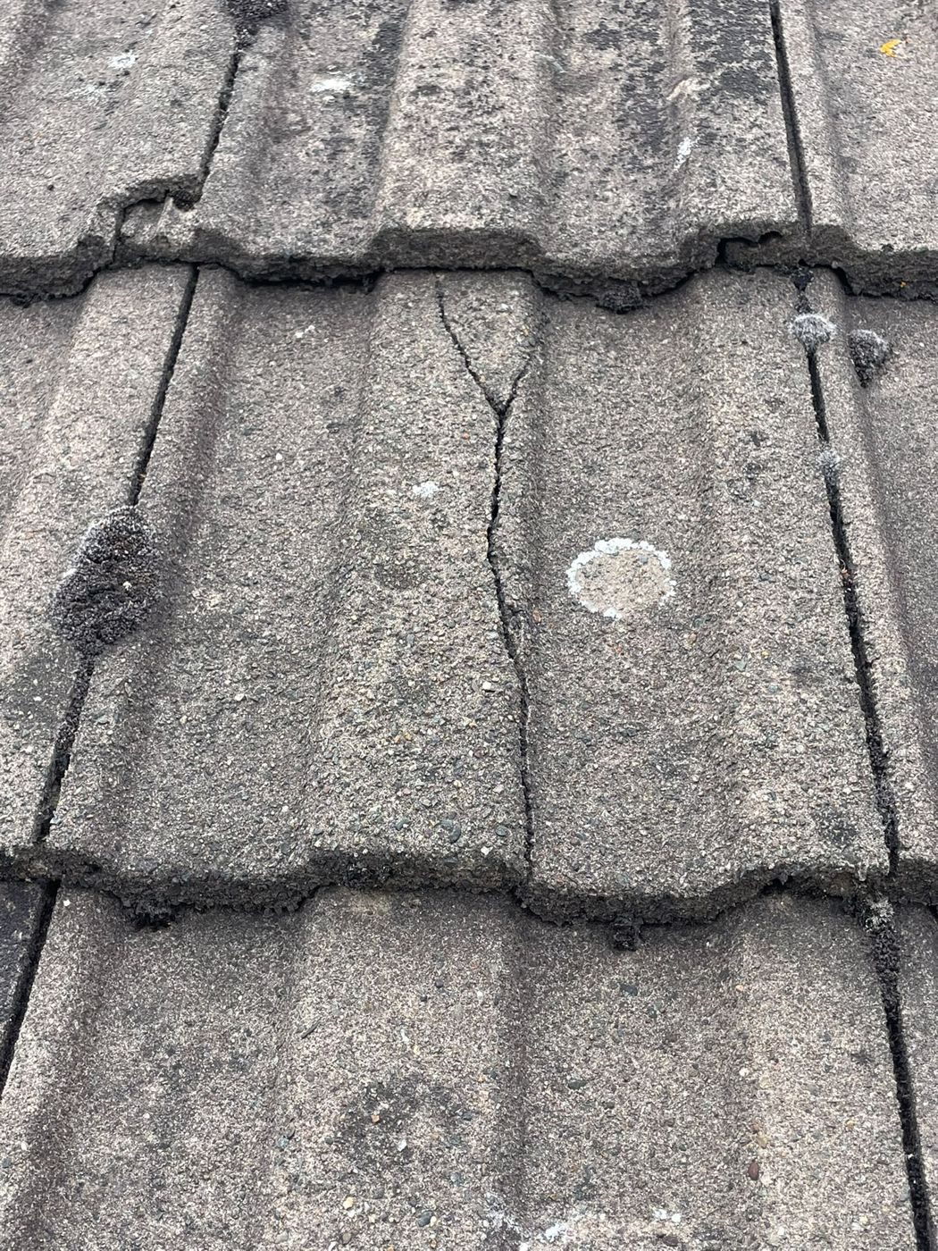 A hairline crack running the full length of a weathered concrete roof tile, moss growing on the tiles around it