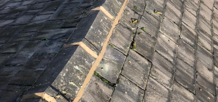 Ridge Tile Repairs in Chester