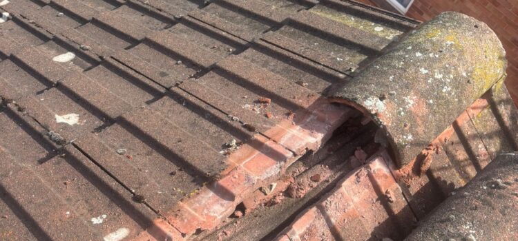 dry verge systems in Chester