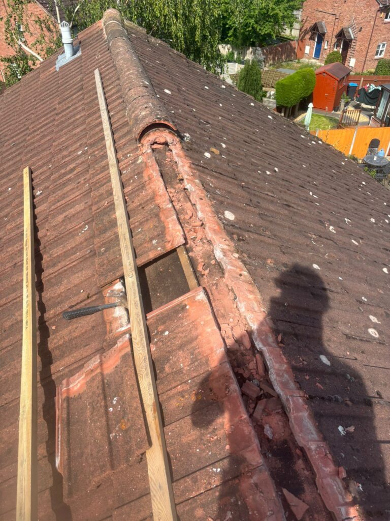 dry verge systems in Chester