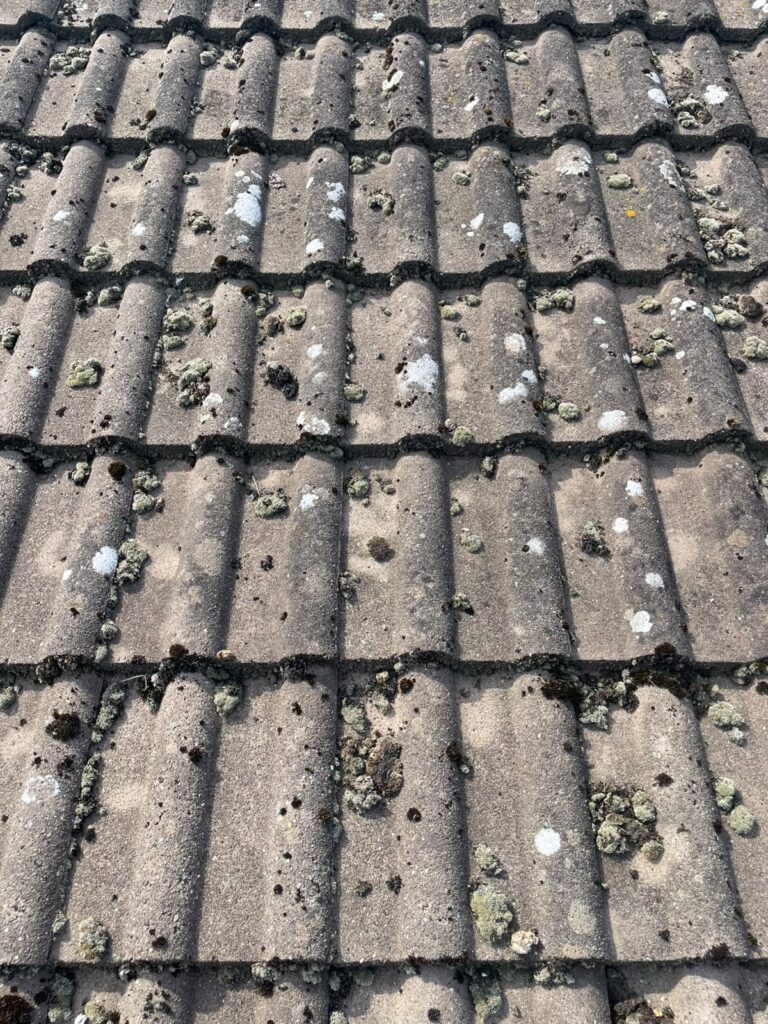 new velux roof light chester